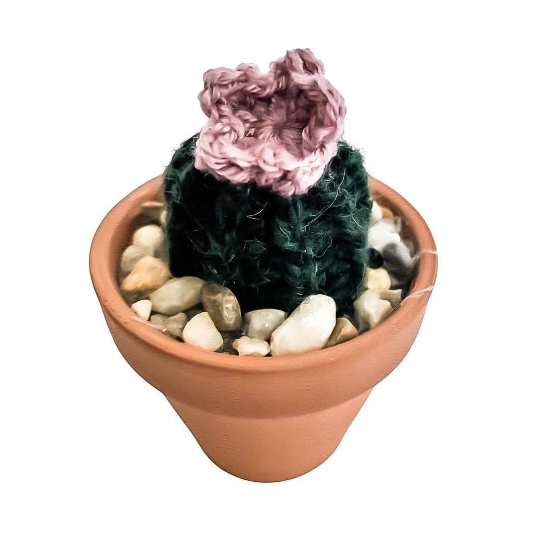 Knit Cactus // Barrel Cactus, Knit Cactus Plant with Purple Flower Pla –  Kelsea Knits