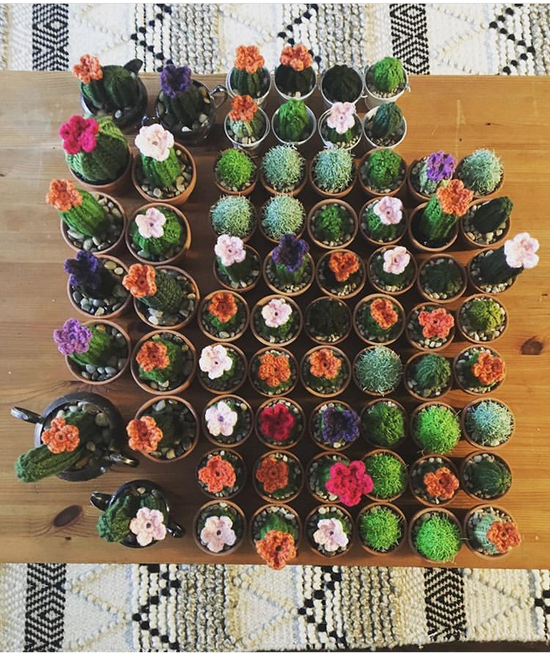 Knit Cactus // Barrel Cactus, Knit Cactus Plant with Purple Flower Pla –  Kelsea Knits