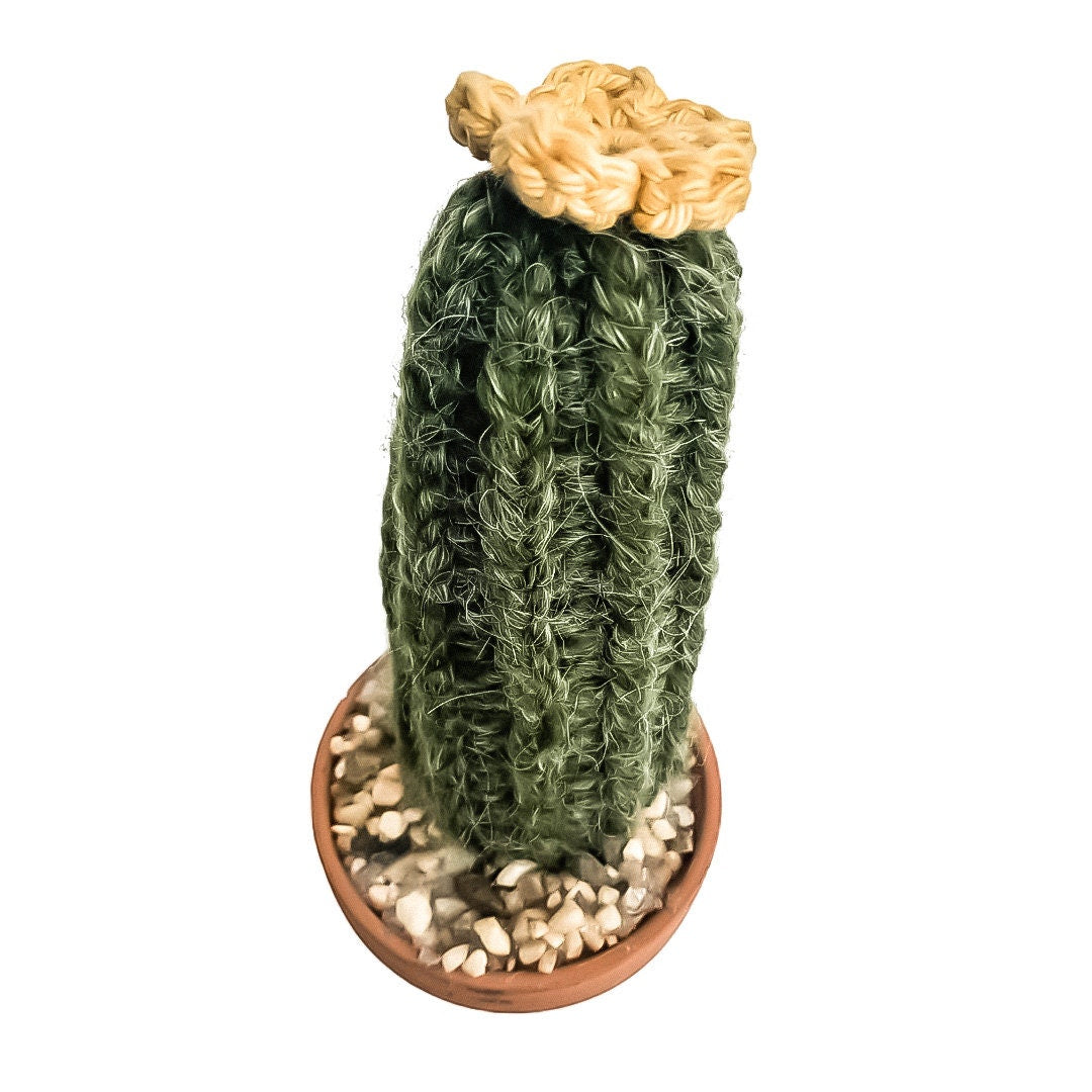 Knit Cactus // Pencil Cactus, Knit Cactus Planted in Terracotta Pot // Boho Home Decor // Home Office Decor // Desk Accessory