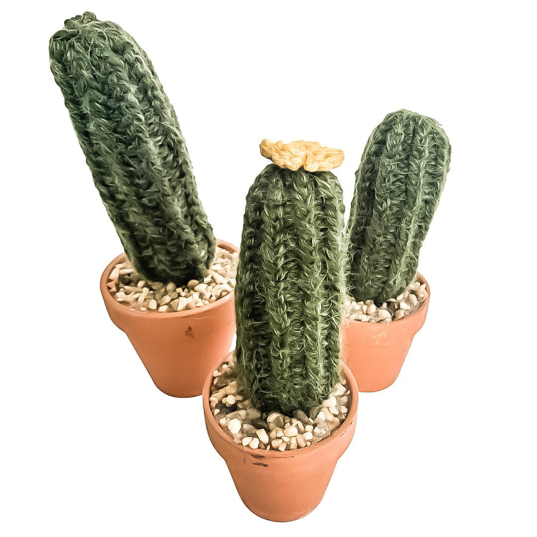 Knit Cactus // Pencil Cactus, Knit Cactus Planted in Terracotta Pot // Boho Home Decor // Home Office Decor // Desk Accessory