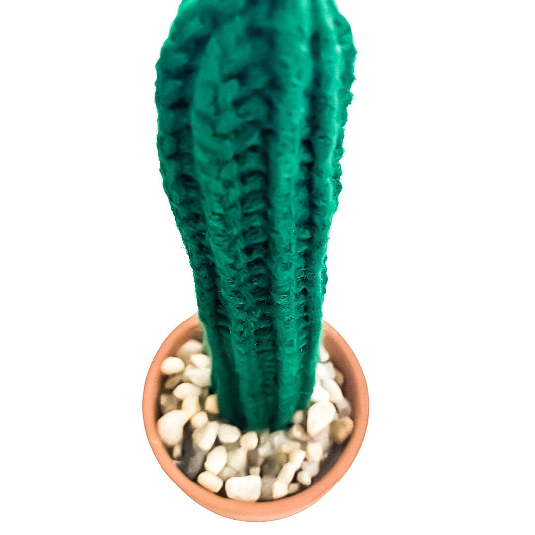 Knit Cactus // Pencil Cactus, Cactus Plant in Terracotta Pot // Boho Home Decor// Home Office Decor // Desk Accessory