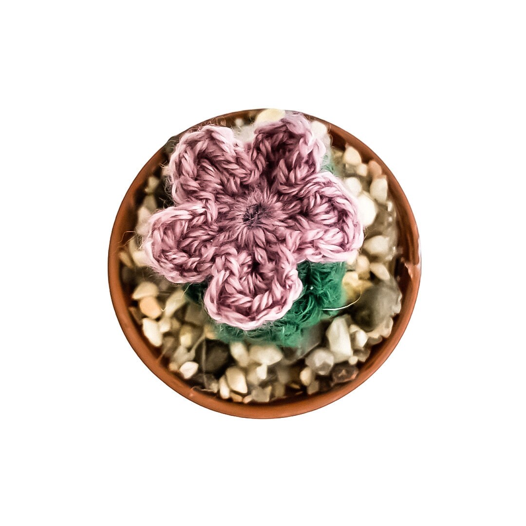 Knit Cactus // Barrel Cactus, Knit Cactus Plant with Purple Flower Planted in Mini Terracotta Pot // Boho Home Decor// Home Office Decor