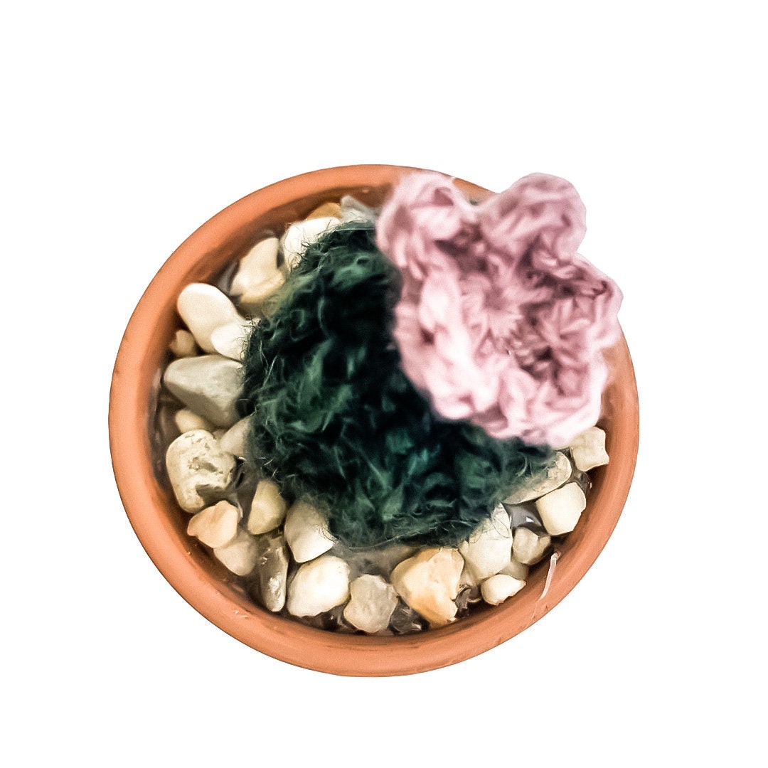 Knit Cactus // Barrel Cactus, Knit Cactus Plant with Purple Flower Planted in Mini Terracotta Pot // Boho Home Decor // Home Office Decor