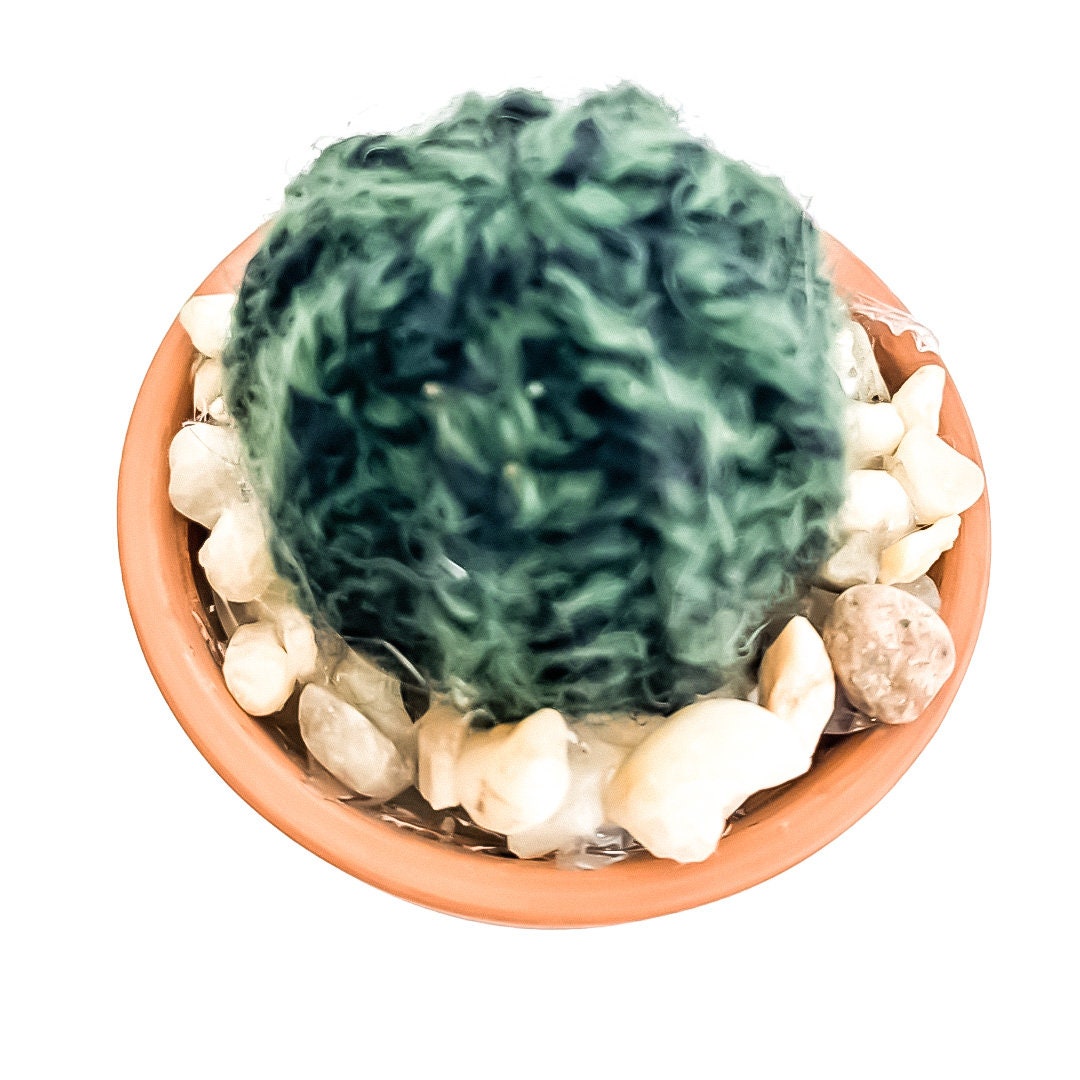 Knit Cactus // Barrel Cactus, Knit Cactus Planted in Mini Terracotta Pot // Boho Home Decor // Home Office Decor // Desk Accessory